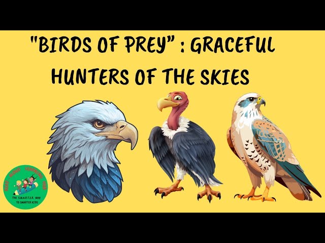 Meet the Raptors: Amazing Birds of Prey - Birds and Blooms