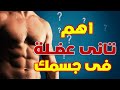 اسرع طريق لتضخيم عضلة السمانة وأهميتها افضل تمرين مثبت علميا 