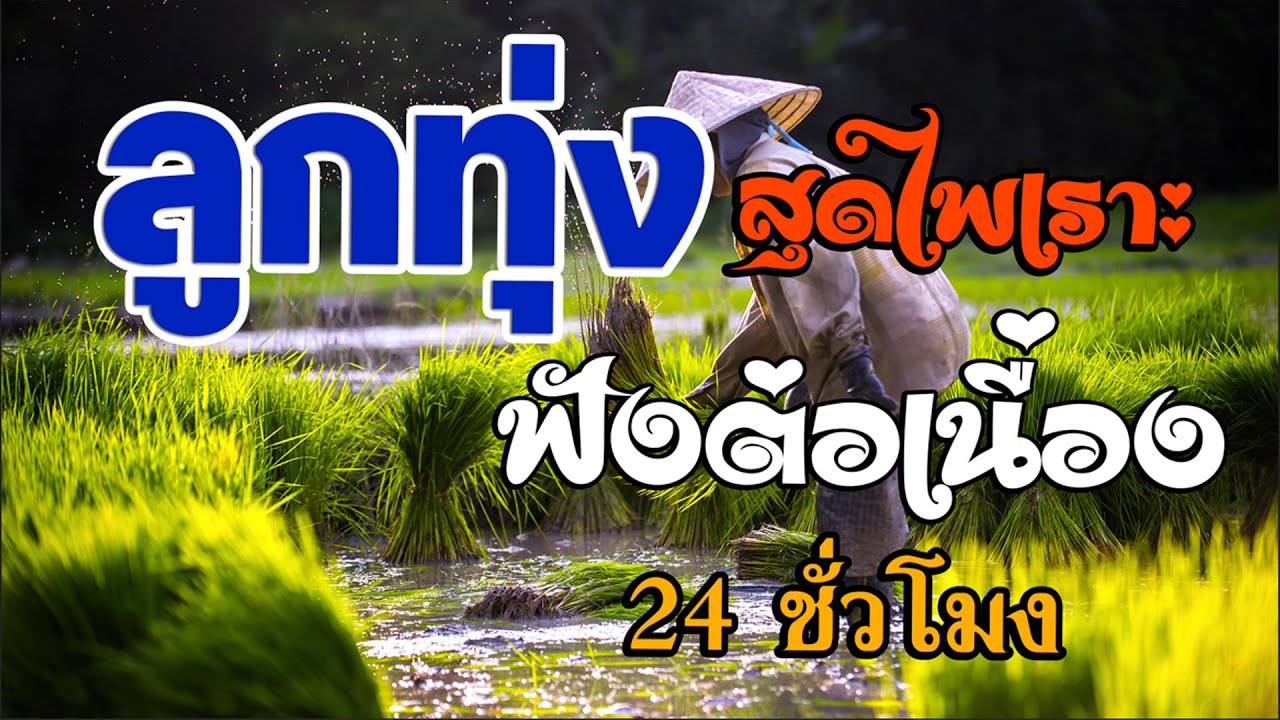 ลูกทุ่งสุดไพเราะ : คัดมาพิเศษ ฟังต่อเนื่อง 24 ชั่วโมง 