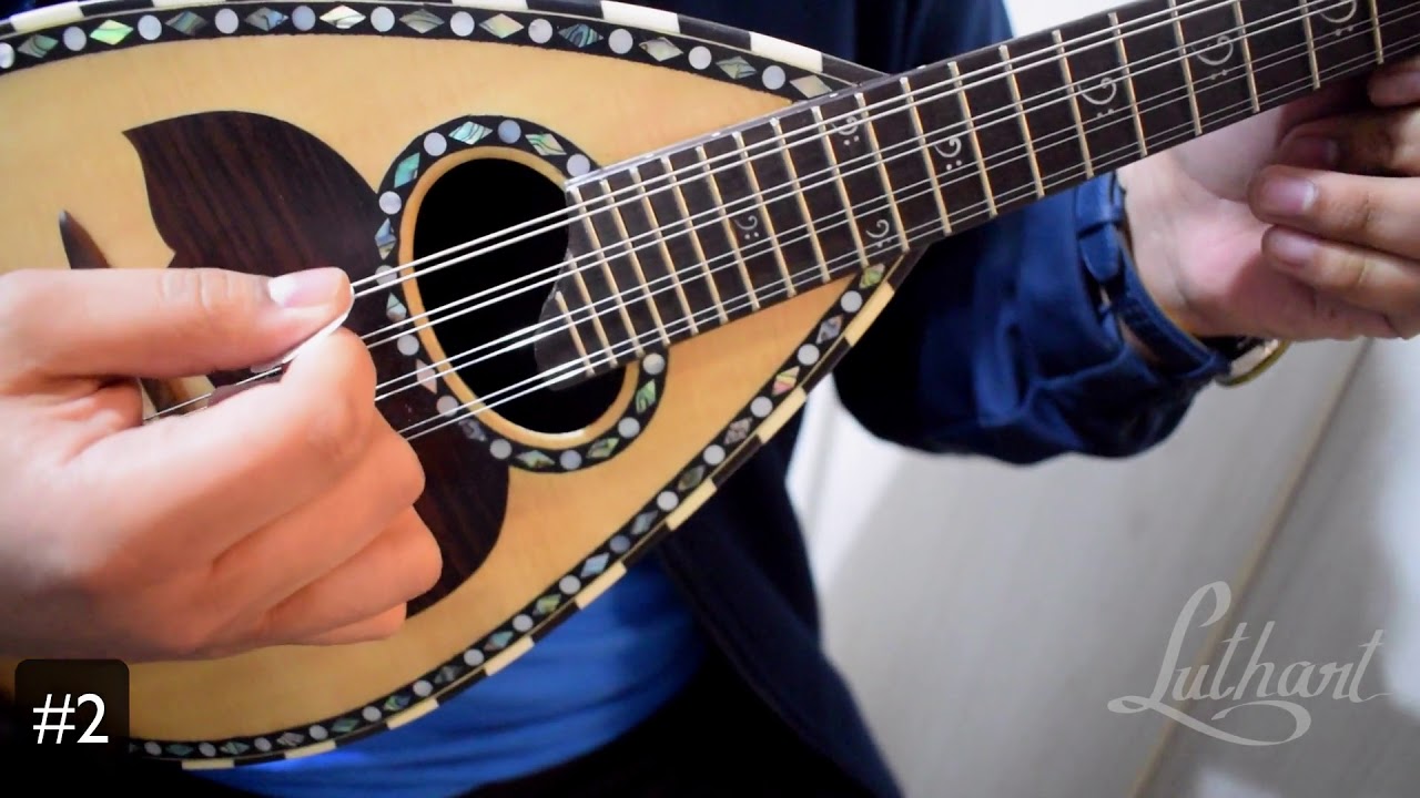 #2 - Taller de Mandolina: Tomar la uñeta y Punteos