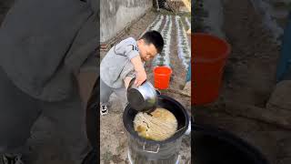 Adorable Little Chef Cooks Chicken The Asian Way - Too Cute To Miss