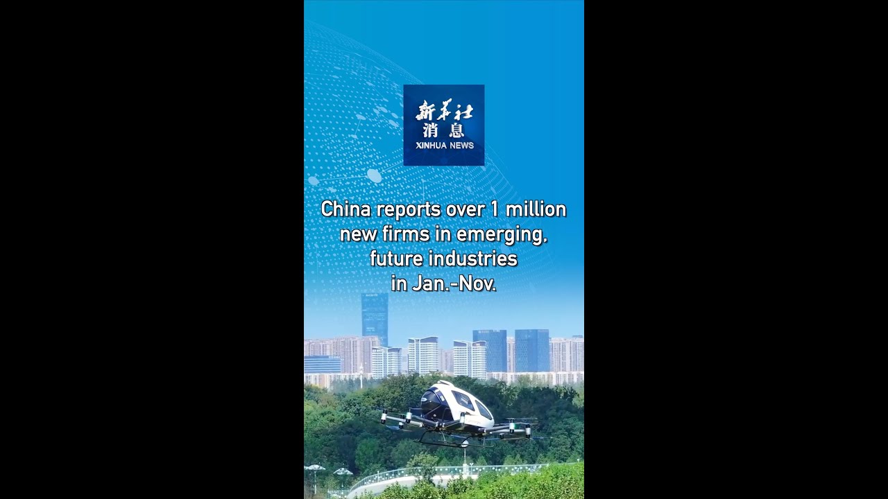 Xinhua News | China reports over 1 million new firms in emerging, future industries in Jan.-Nov.
