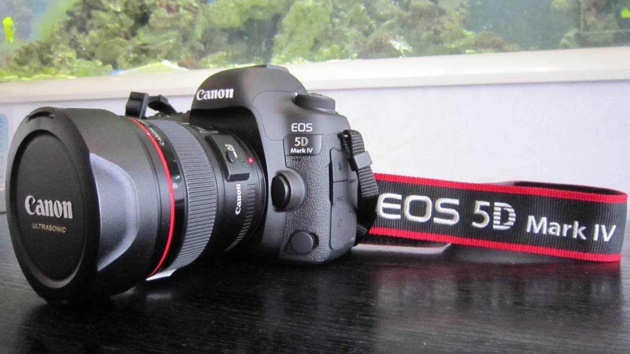 Canon Eos 5d Mark で星空撮影してきました Youtube Canon Eos 5d Mark で星空撮影してきました Youtube
