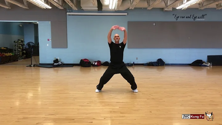 Pak Hok Pai Kung Fu - 5 Animals Form (Siu Ng Ying ...