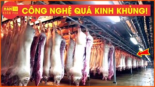 Khám Phá Nhà Máy Xử Lý Lợn Hiện Đại NHẤT THẾ GIỚI | Nông Nghiệp Thông Minh screenshot 5