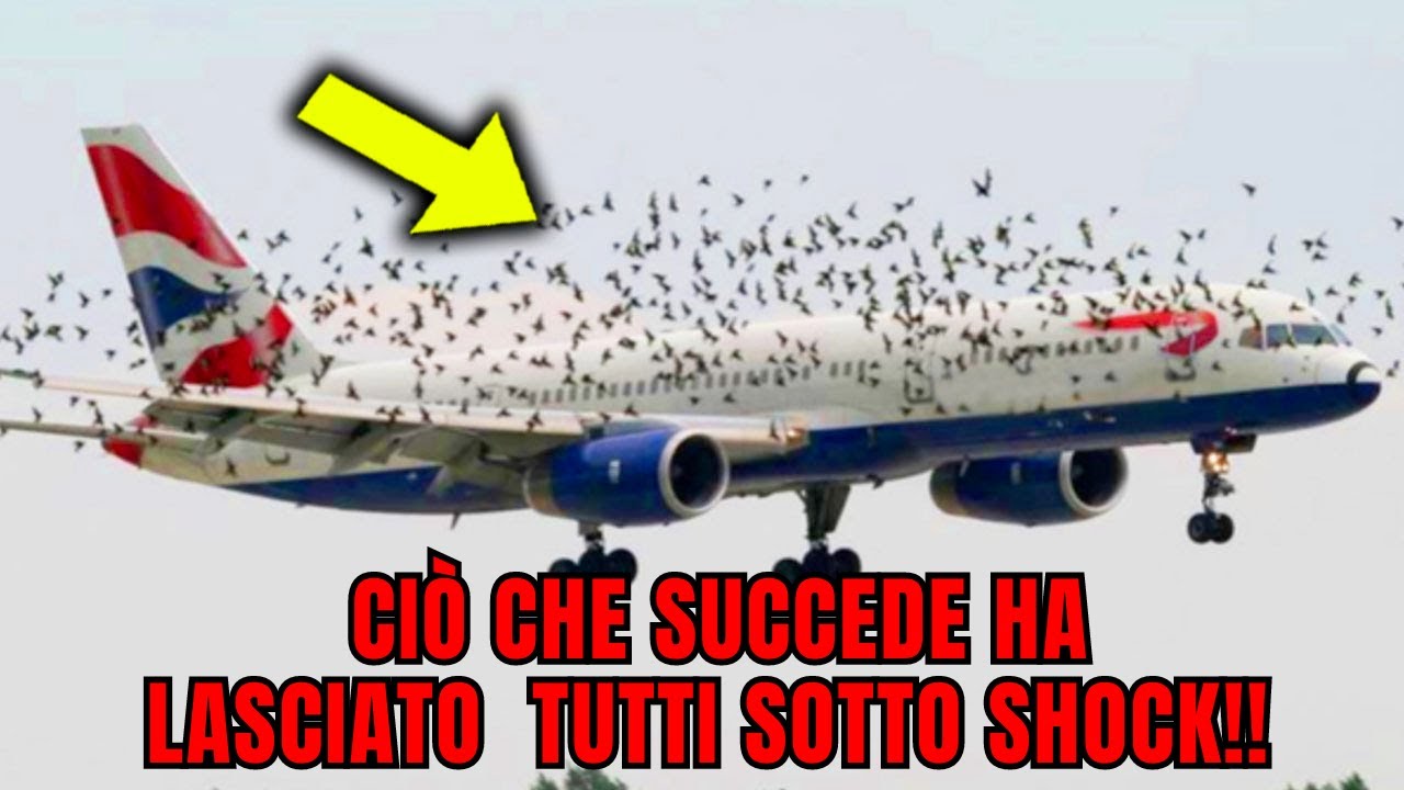 Il Pilota Scoppia in LACRIME quando capisce ciò che sta per succedere ...