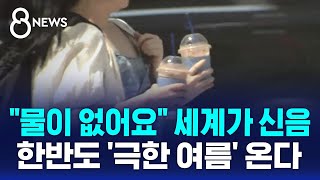"물이 없어요" 전 세계가 신음…한반도 '극한 여름' 온다 / SBS 8뉴스