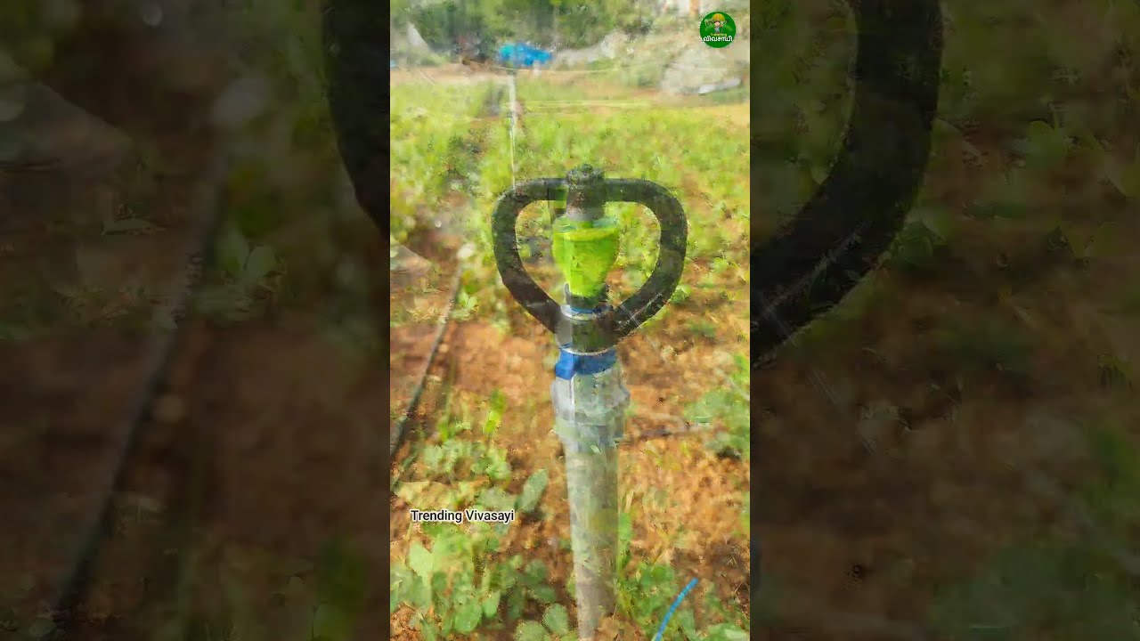  Sprinkler Irrigation Setup Farming Agriculture Short
