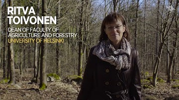 Forest Visit in Finland | University of Helsinki HY+