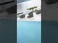 Outdoor swimming pool #switzerland #travel #suisse #town #hotel #swimmingpool