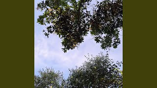 Download Lagu jiwa yang rapuh MP3