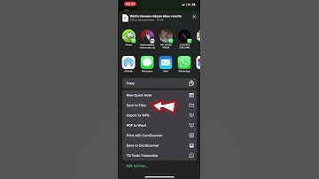 How to Easily Save WhatsApp Documents to Your iPhone | Quick and Simple Guide