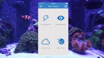 iPhone ReefLink Demo