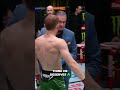 3 Knockouts in a Row! Perth's Next Champion? #shorts