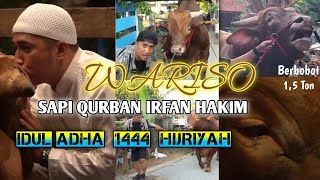 WARISO SAPI QURBAN IRFAN HAKIM VIRAL JADI PERBINCANGAN PUBLIK