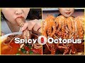 ASMR Amazing Spicy Octopus Eating Show Compilation #20 - 문어/たこ/ปลาหมึก/Bạchtuộc/章鱼/Chinese Food