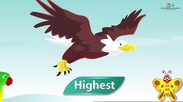 Length and Weight (Sindhi Version)| Math | Grade 1  Unit 03 Lesson 01