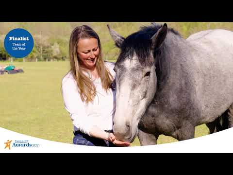 2021 Animal Charity Awards Team of the Year Finalist Stable Lives