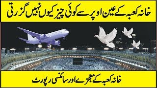 birds fly planes kaaba