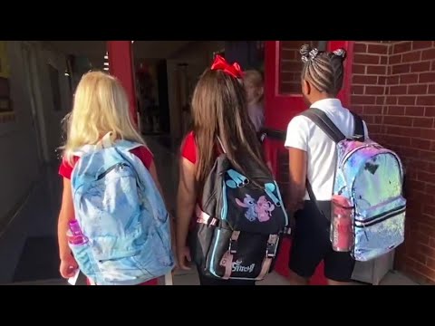 Видео: Лодердейл тойргийн сургуулиуд хэзээ эхлэх вэ?