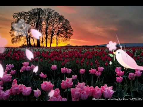 С Днем рождения, сестра! Красивое поздравление сестре✿