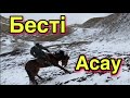 БЕСТІ Асау Үйреттік! Обучение лошадь.