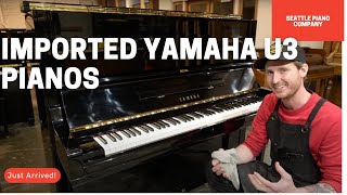 What are imported Yamaha U3 pianos? A look inside one of our newly imported refurbished Yamaha U3s