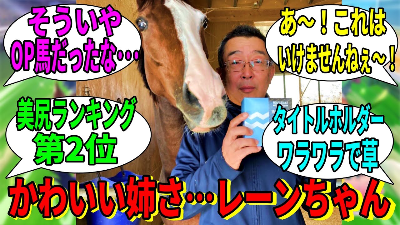 【競馬の反応集】「今日もかわいいメロディーレーン」に対する視聴者の反応集