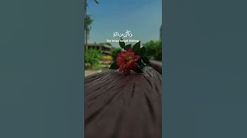 تلاوة خاشعة للقارئ عبد الرحمن مسعد #قرآن #سبحان_الله_وبحمده #تدبر #عبدالرحمن_مسعد #آيات