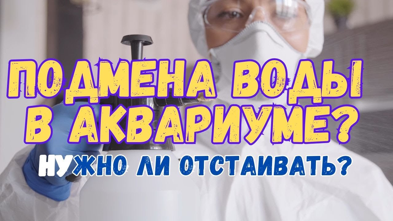 Подмена воды в аквариуме. Нужно ли отстаивать воду? Подмена воды в аквариуме из под крана.