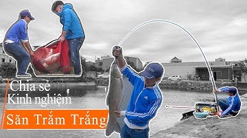 52. Câu Trắm Trắng bằng chì đáy - Chủ hồ Live Stream khàn cả giọng - Hồ câu Trưởng Trọc, Hưng Yên !!
