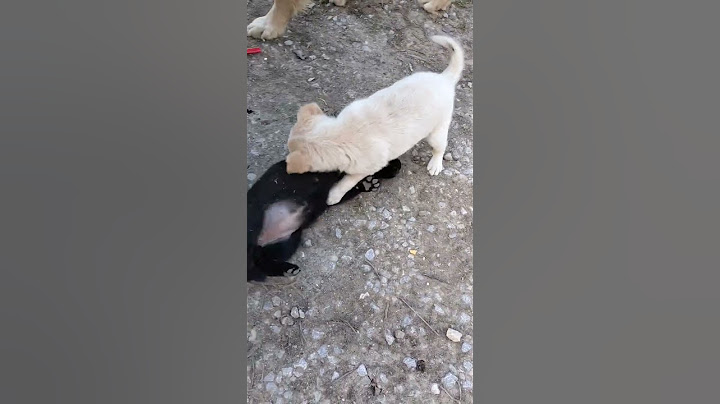 çift kale maç😆🤩
