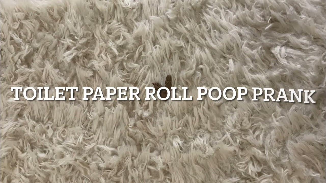 Toilet Paper Roll Poop Prank YouTube