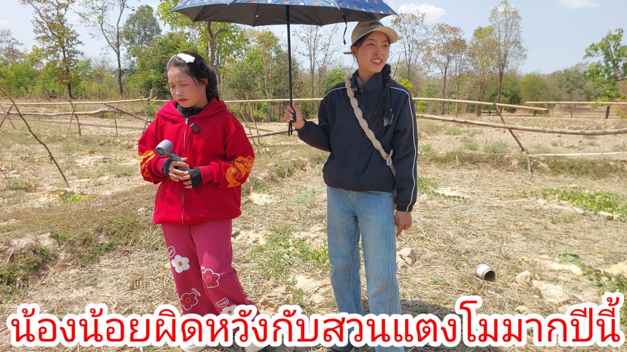 น้องน้อยมีบอดี้การ์ดกั้งร่มให้วันนี้เดินดูสวนแตงโมผิดหวังมากปีนี้ 9 มีนาคม ค.ศ. 2026