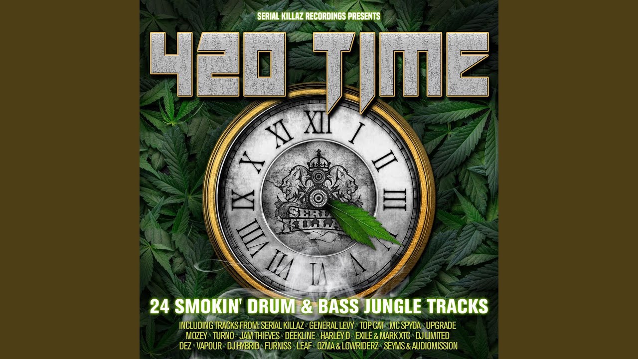 Professional Ganja Smoker (Serial Killaz Remix) - YouTube