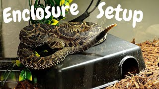 New Rattlesnake Enclosure Setup