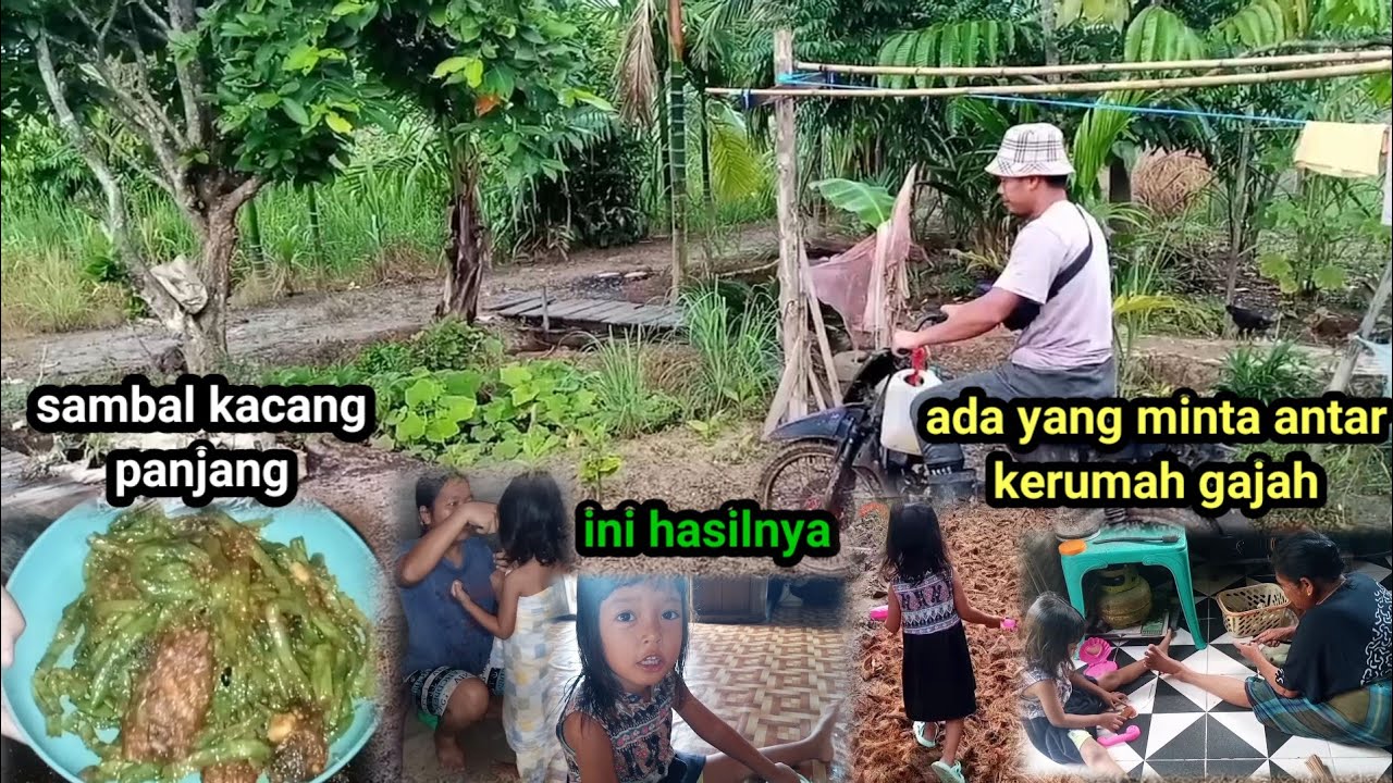 Kitafeli comelnnya feli kita buatkan seperti ini 🤭 - YouTube