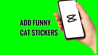 How to Add Funny Cat Stickers to Video on CapCut screenshot 5
