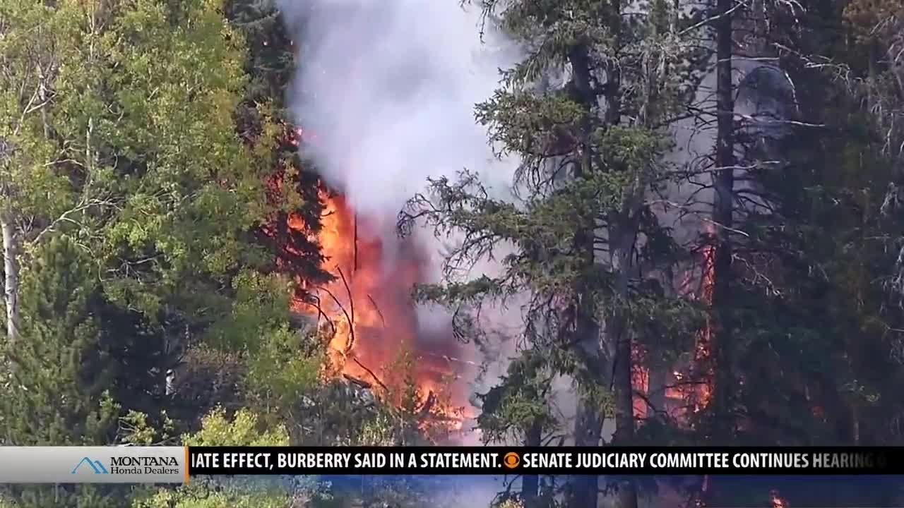 Bacon Rind Fire starts to rekindle