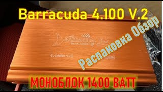 Моноблок 1400 Ватт! Barracuda 1.1400 V.2. Распаковка, обзор.