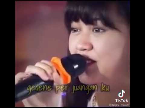 Story Wa Ra perlu koe ngerti Gedene perjuanganku