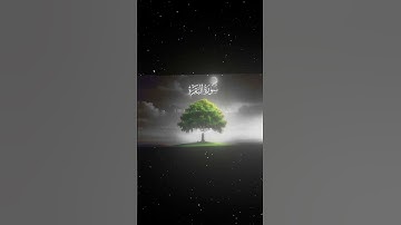 سورة البقرة|190-192|القارئ:#محمد_اللحيدان #قران #quran #راحة_نفسية#قران_كريم#تلاوة_هادئة#تلاوة_خاشعة