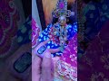 Krishna Krishna Krishna