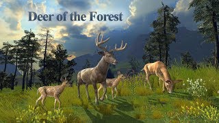 Deer of the Forest Android Gameplay HD screenshot 1