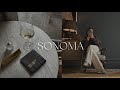 Vlog a weekend in sonoma county  alyssa lenore