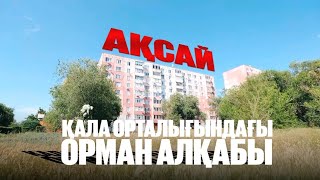 видео: Ақсай тұрғындары кімге өкпелі? | Өзекті мәселелер қалай реттелмек? | Таза қала   картинка: Ақсай тұрғындары кімге өкпелі? | Өзекті мәселелер қалай реттелмек? | Таза қала