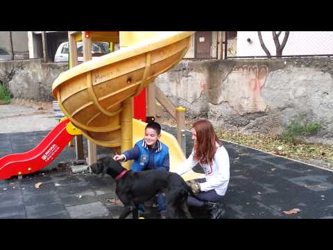 \"ნაბიჯი თანადგომისკენ\" (თბილისი, 123-ე საჯარო სკოლა)