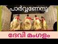 ദേവി മംഗളം | Devi Mangalam I പാർവ്വണേന്ദു I തൃപ്പൂണിത്തുറ