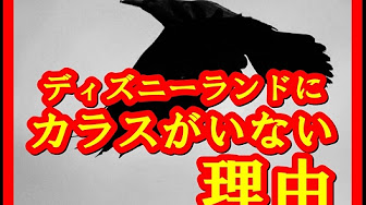 ディズニーランド ディズニーシー 都市伝説 Youtube