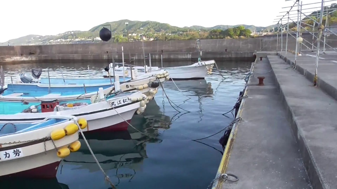 湾内に多いボラ稚魚群れ 和歌山釣太郎 Youtube